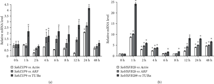 Figure 5