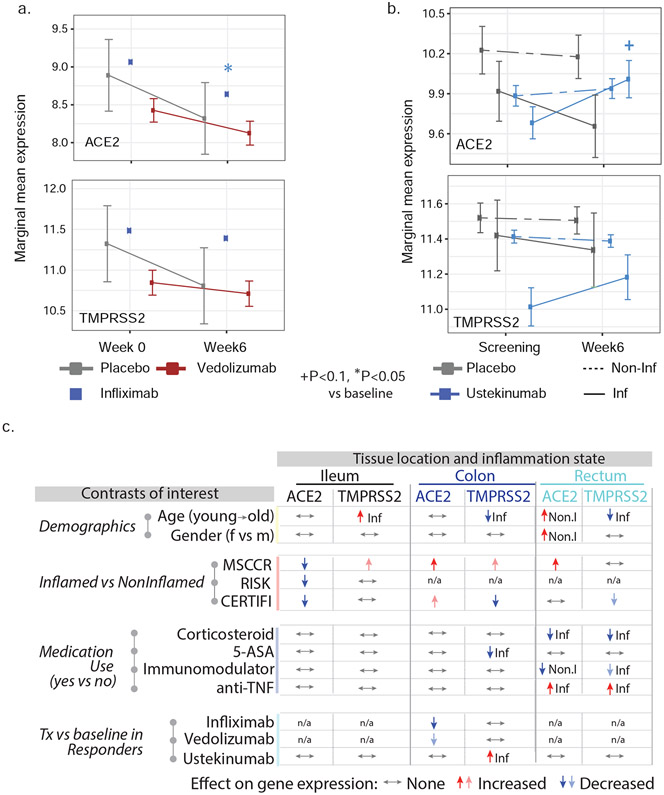 Figure 4: