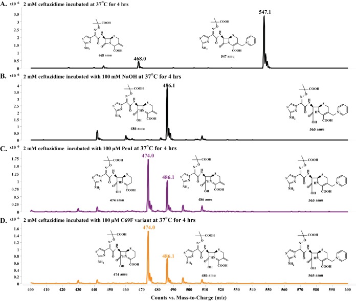 FIG 6