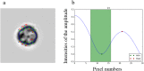 Fig. 4