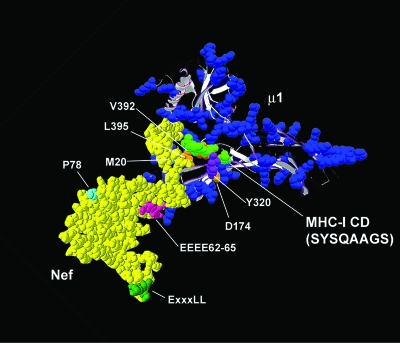 FIG. 7.