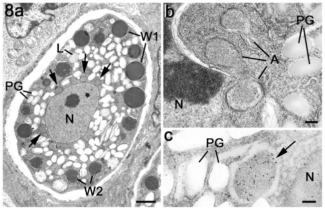 Fig. 8