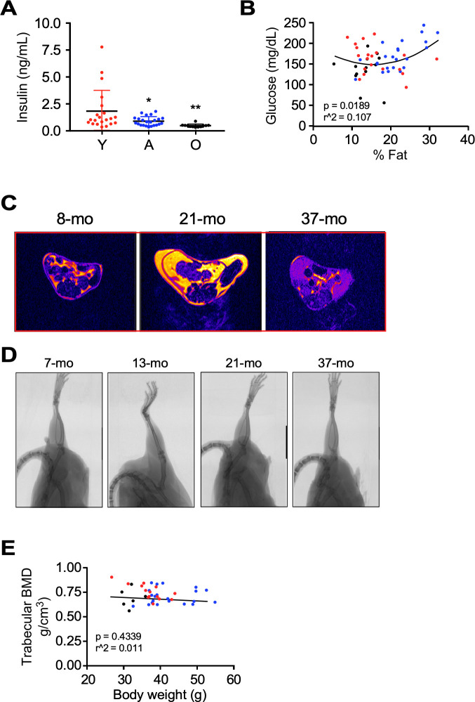 Figure 1—figure supplement 1.