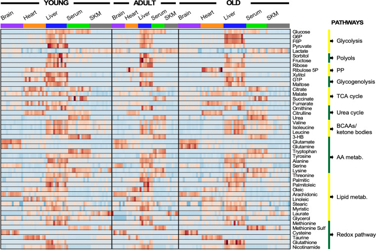 Figure 3—figure supplement 1.