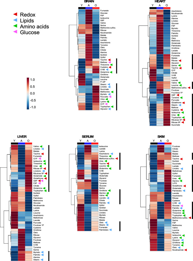 Figure 4—figure supplement 1.