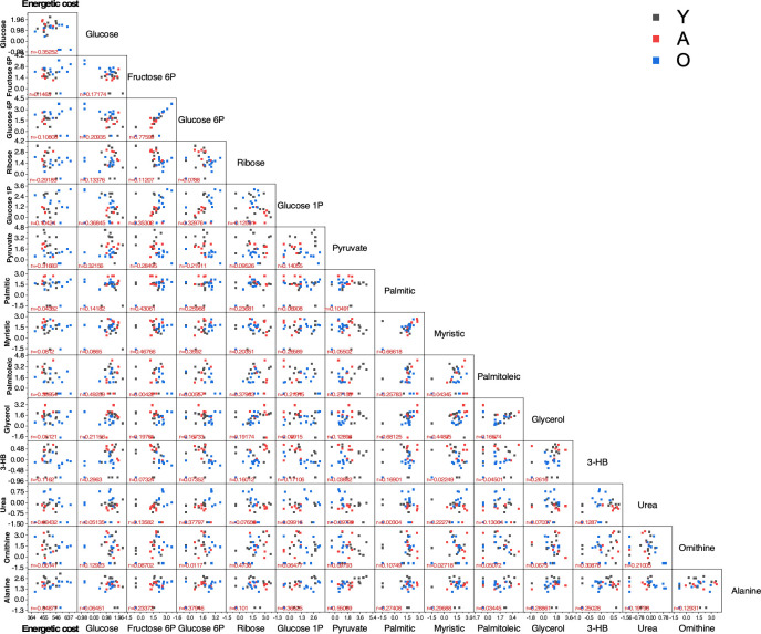 Figure 6—figure supplement 1.