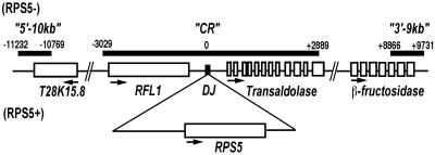 Fig 1.