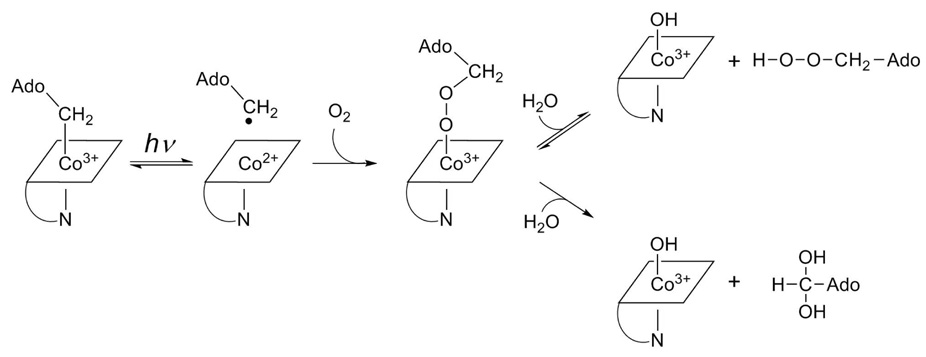 Scheme 2