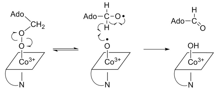 Scheme 3