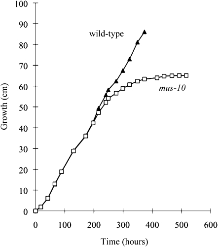 Figure 1.—