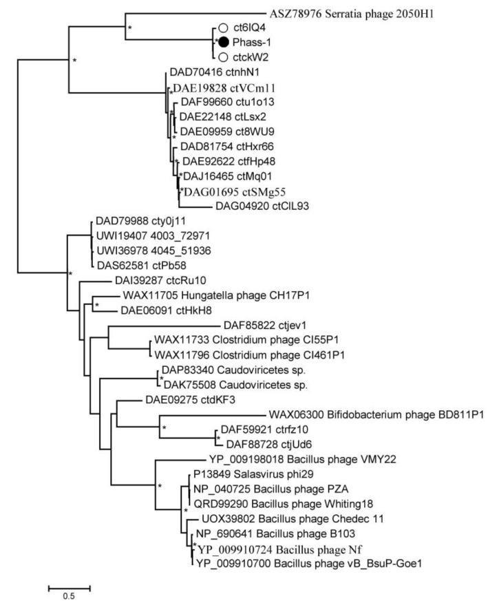 Figure 7