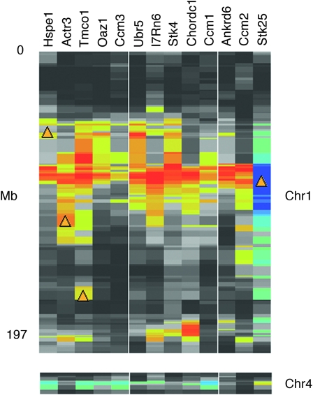 Figure 4.—