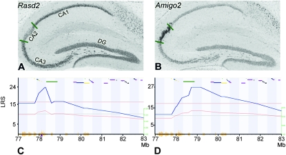 Figure 5.—