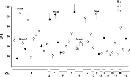 Figure 3.—