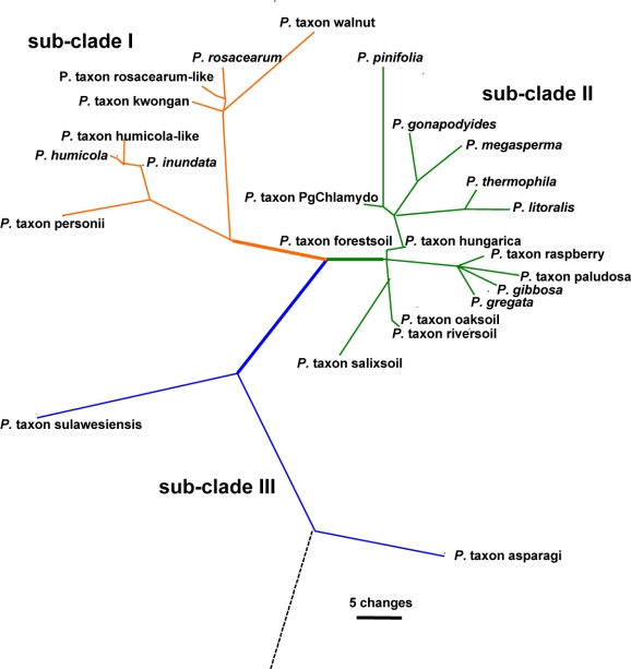 Fig. 12