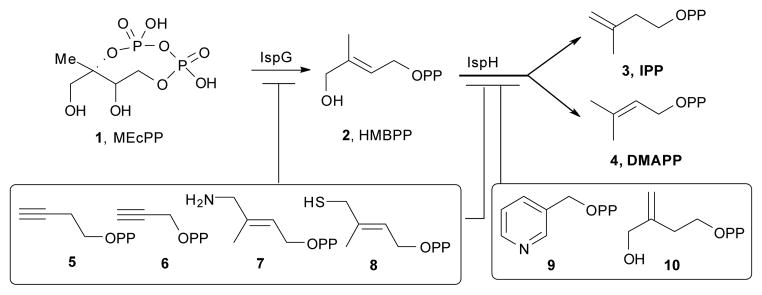 Scheme 1