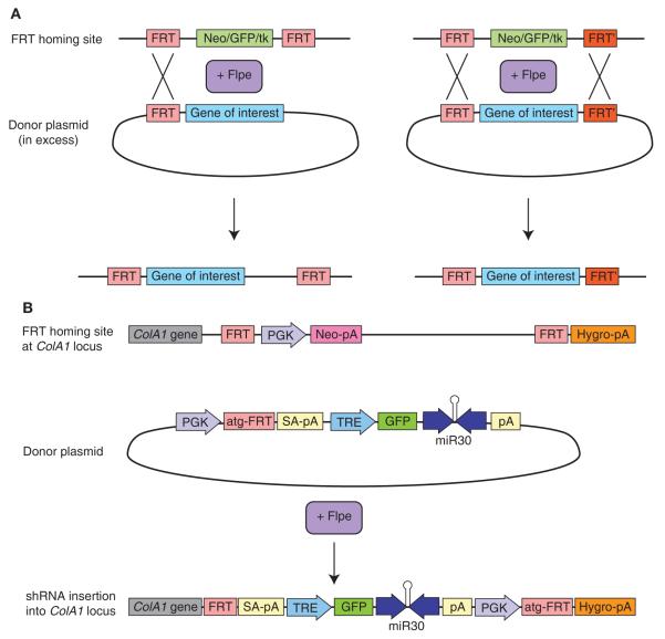 FIGURE 2