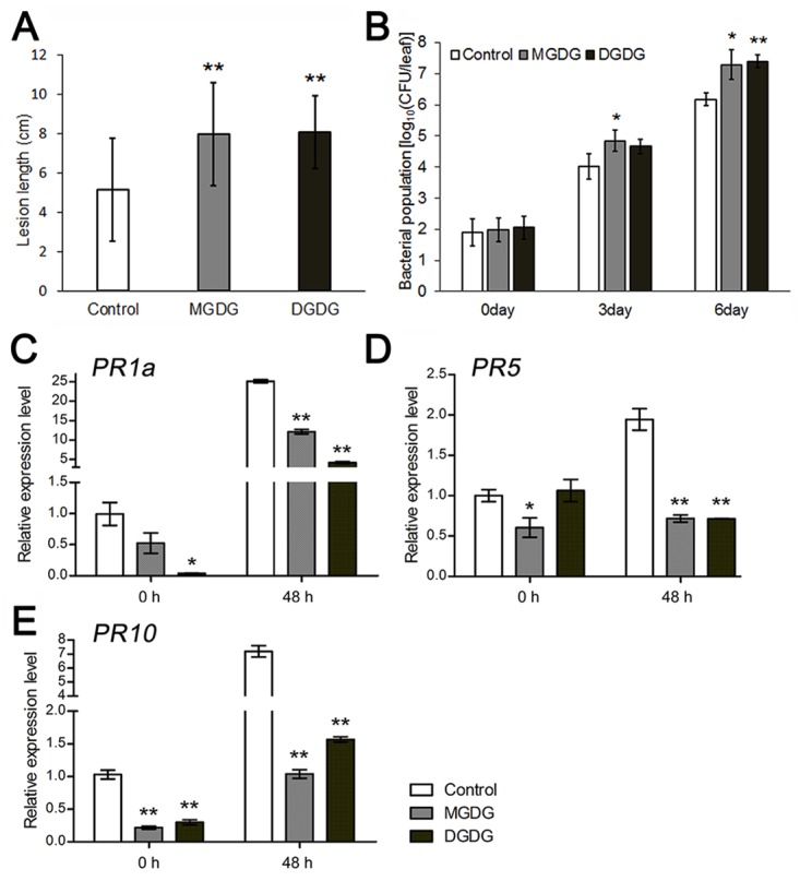 Fig 10