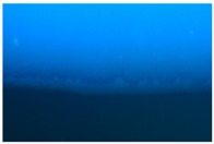 graphic file with name polymers-09-00009-i007.jpg