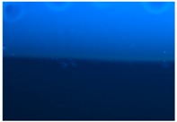 graphic file with name polymers-09-00009-i011.jpg