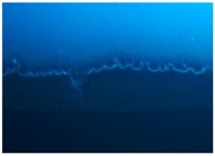 graphic file with name polymers-09-00009-i005.jpg