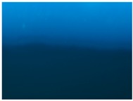 graphic file with name polymers-09-00009-i004.jpg