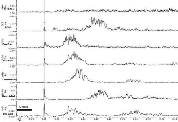 Figure 2b.