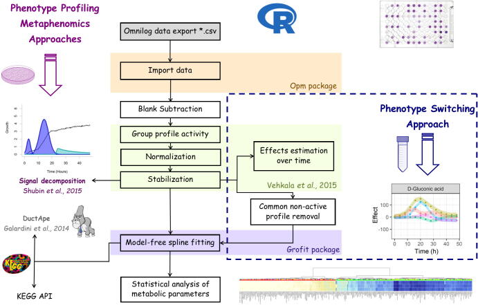 Fig. 2