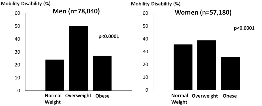 Figure 2 –