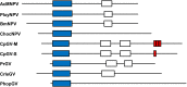 Fig. 7.