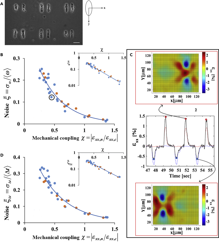 Figure 2