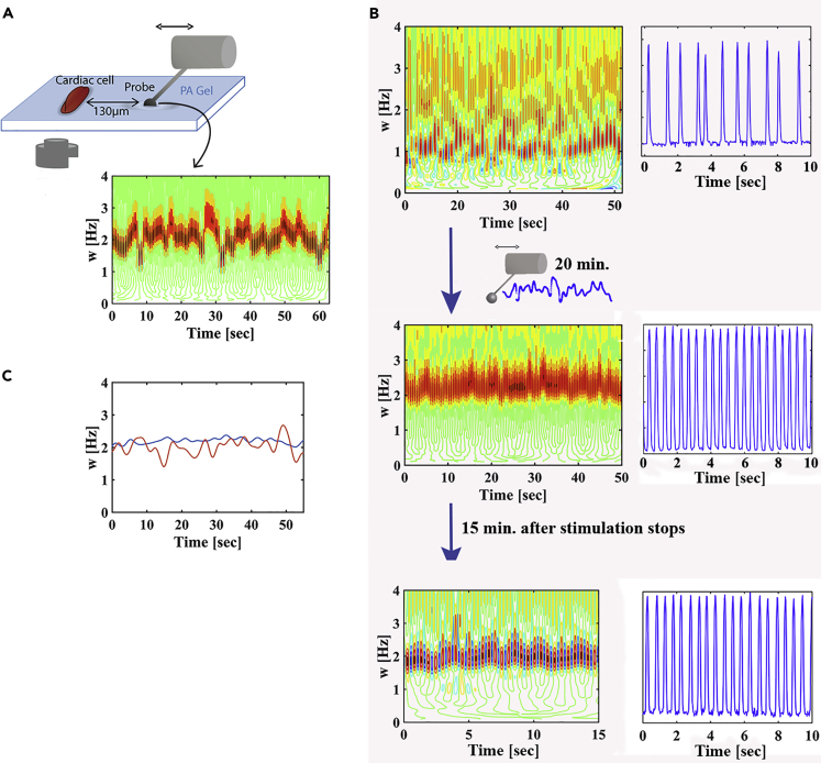 Figure 4