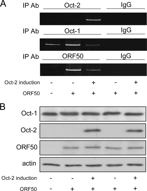 FIG. 5.