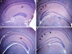 Fig 12