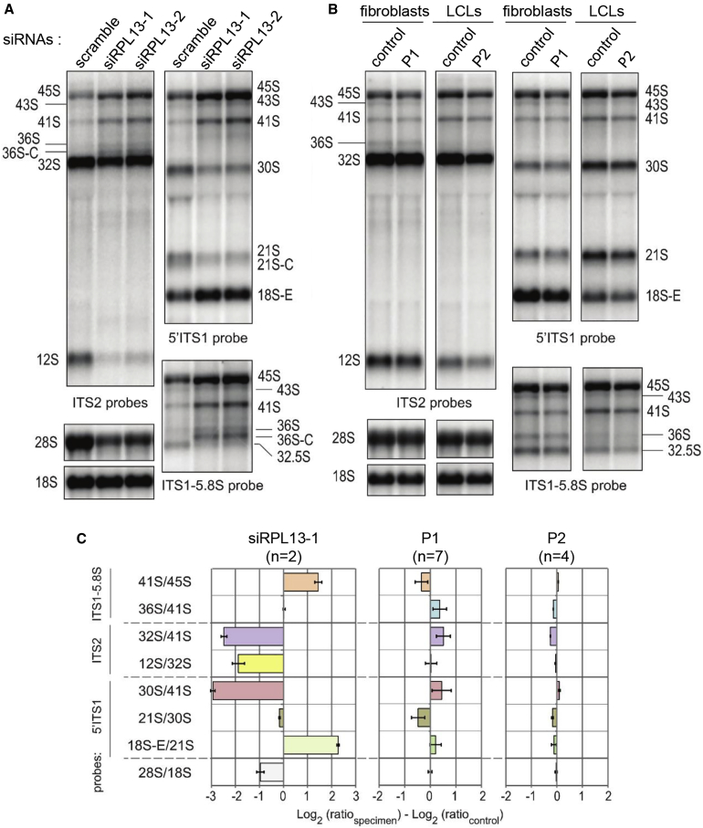 Figure 3