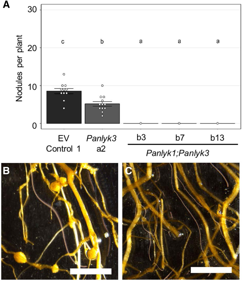 Figure 6.