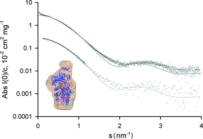 Figure 4