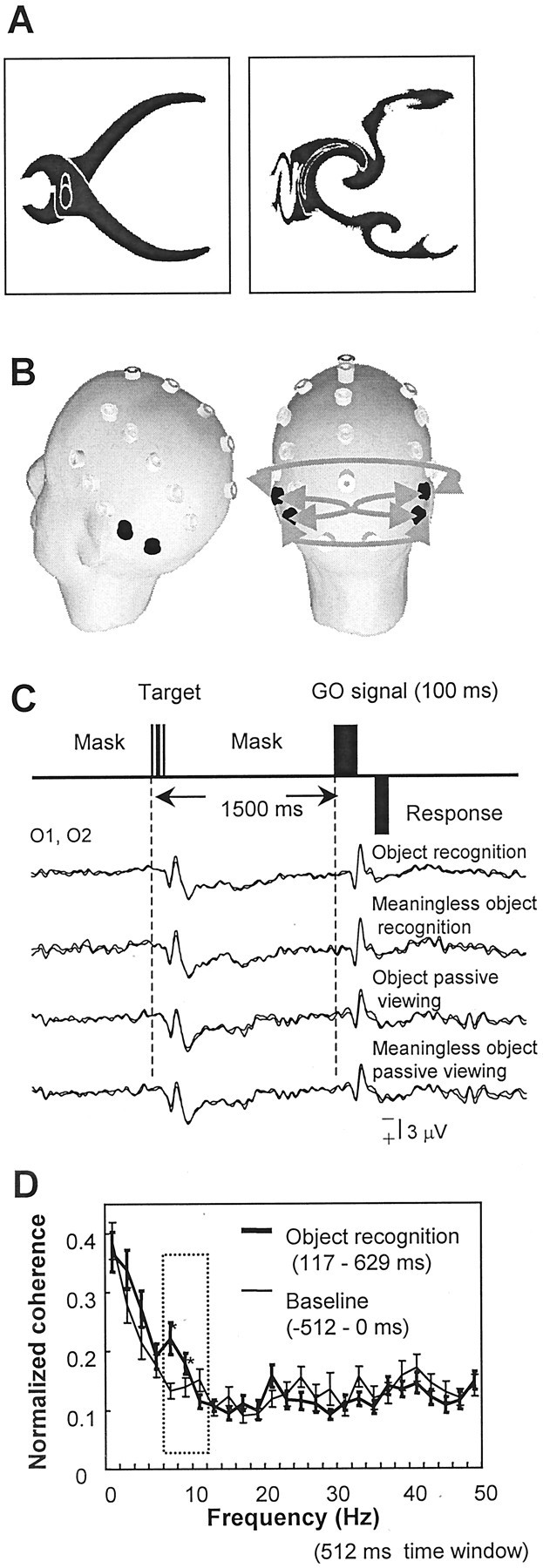 Fig. 1.