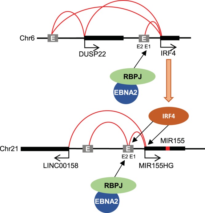 FIG 6