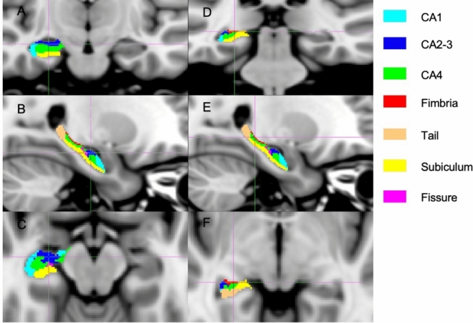 Fig. 1