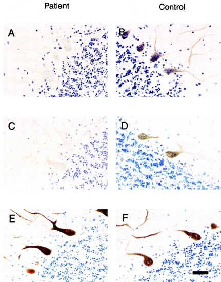 Figure  5