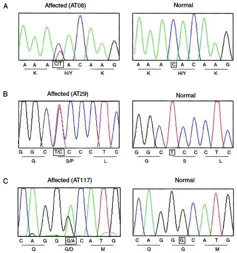 Figure  3