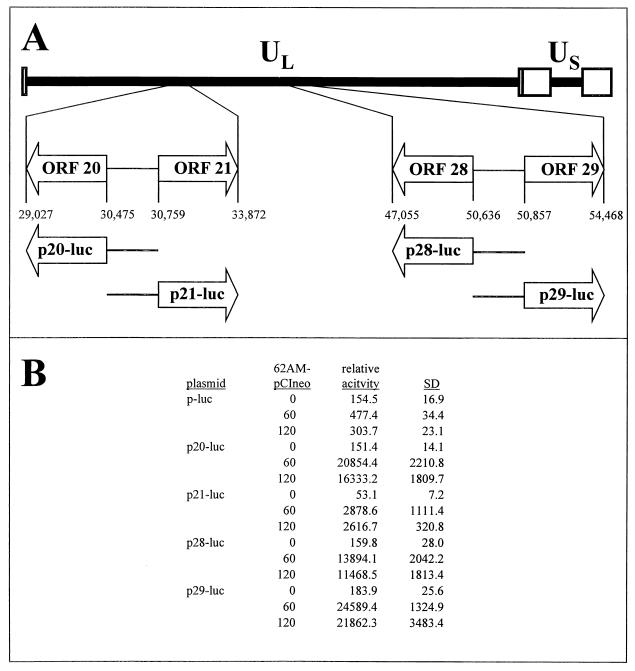 FIG. 7.