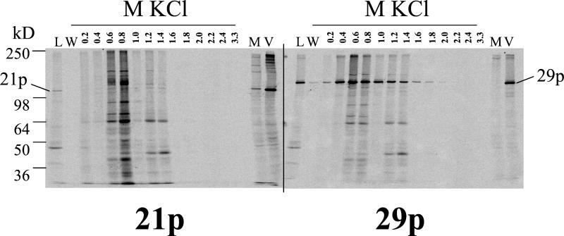 FIG. 5.