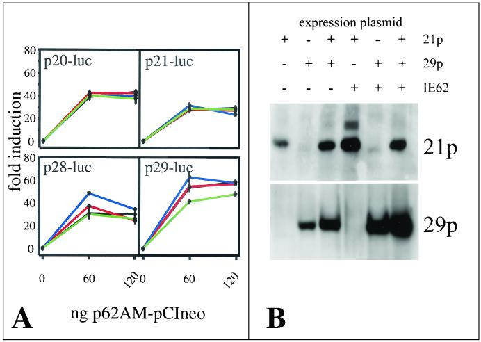 FIG. 8.