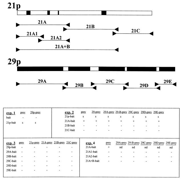 FIG. 6.