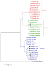 Figure 3.