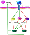 Figure 9.