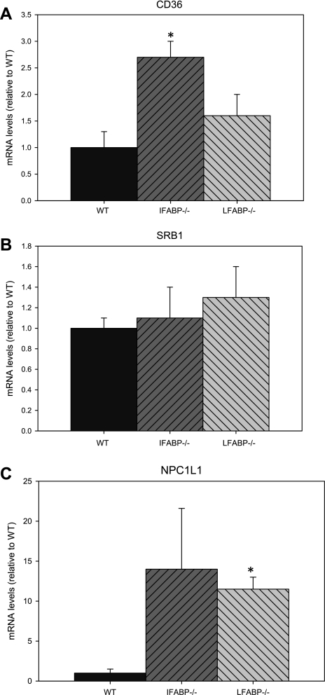 Fig. 8.