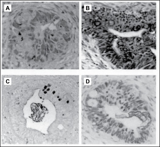 Figure 1 :